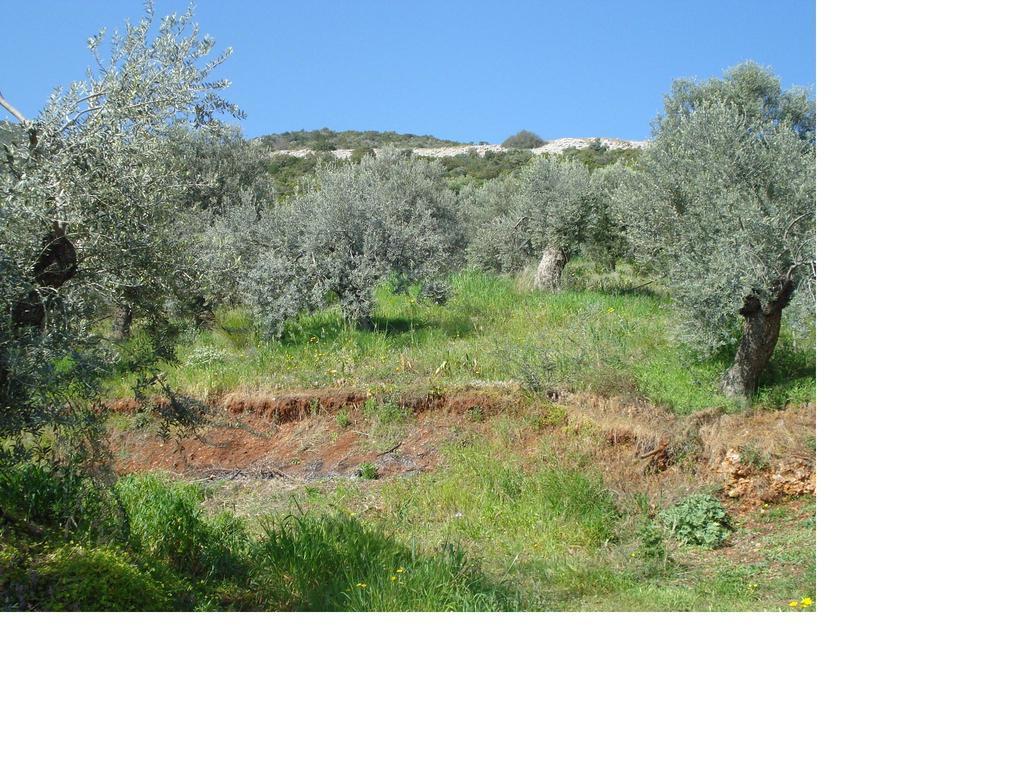 Athina Ecofarm Apartment Epidaurus Luaran gambar
