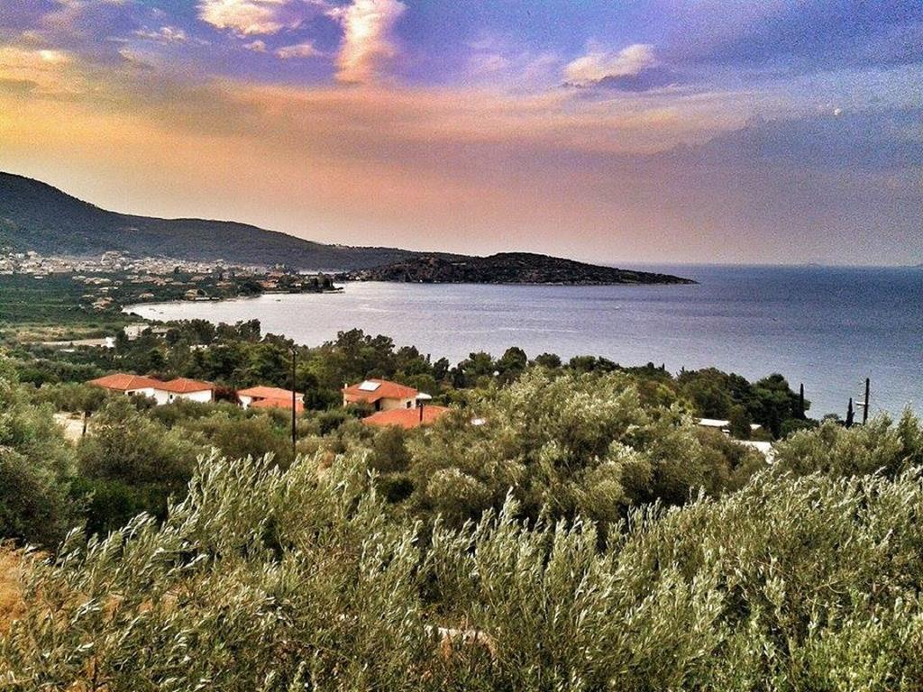 Athina Ecofarm Apartment Epidaurus Luaran gambar